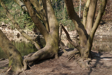 Similar image 17638923