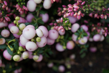 Similar image 17639569