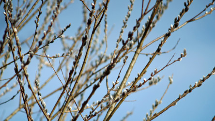 Similar image 17639911