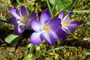 Similar image 17645601