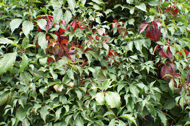 Similar image 17646070