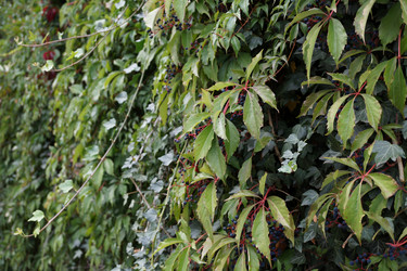 Similar image 17646071