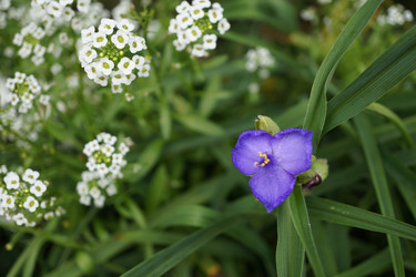 Similar image 17646072