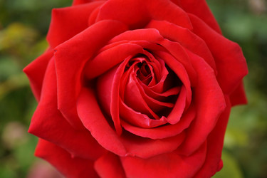 Similar image 17646074