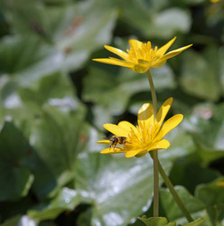 Similar image 17646397