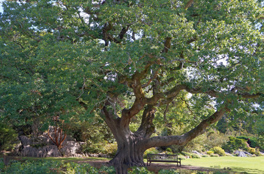 Similar image 17638942