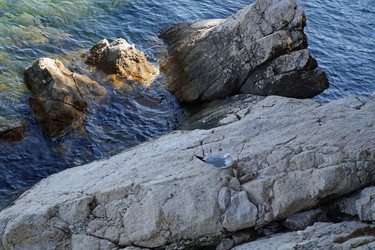 Similar image 17627574