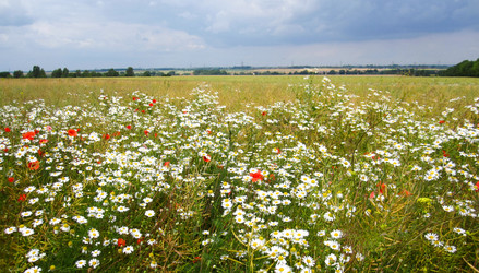 Similar image 17643899