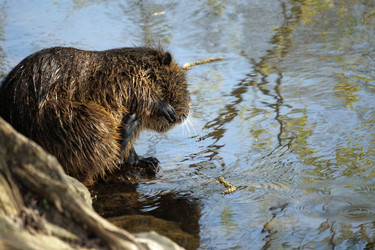 Similar image 17642364