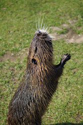 Similar image 17641827