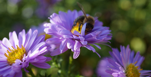 Similar image 17645308