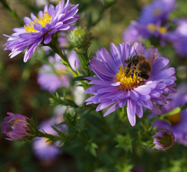 Similar image 17645325