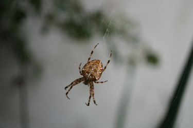 Similar image 17645352