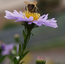 Similar image 17646093