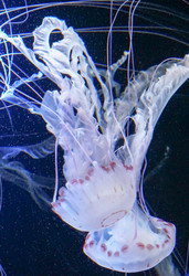 Similar image 17638998