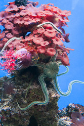 Similar image 17639604