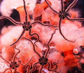 Similar image 17639632