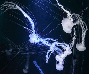 Similar image 17639939