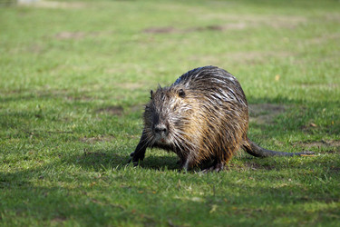 Similar image 17644645