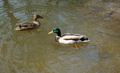 Similar image 17643951