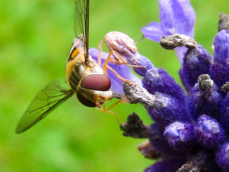 Similar image 17644672