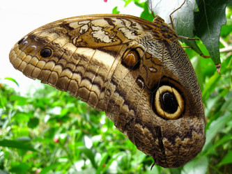 Similar image 17644911