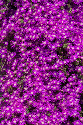 Similar image 18511485