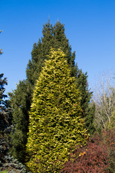 Similar image 18511486