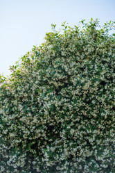 Similar image 18511505