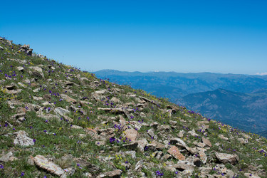 Similar image 18511510