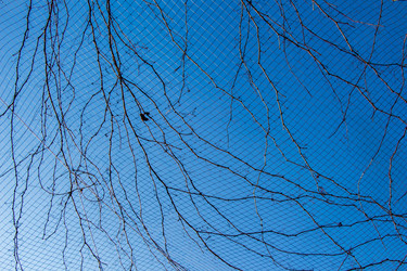 Similar image 18511469