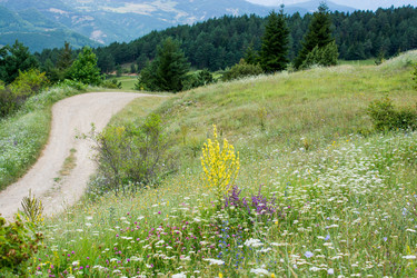 Similar image 18511515