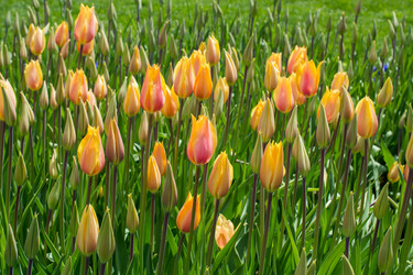 Similar image 18511533