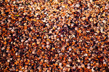 Similar image 18511502