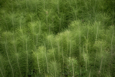 Similar image 18511386