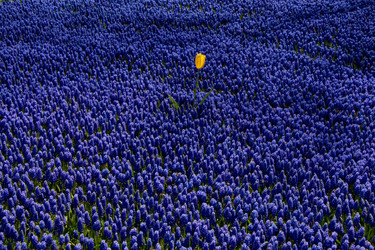 Similar image 18511408