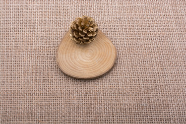 Similar image 18511407