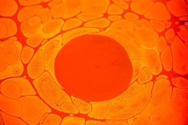 Similar image 18511528