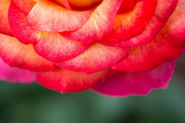 Similar image 18511561