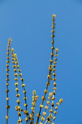 Similar image 18511587