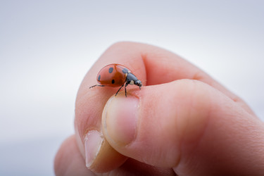 Similar image 18511388