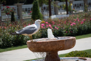 Similar image 18511451