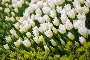 Similar image 18511543