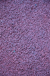 Similar image 18511575