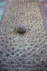 Similar image 18511597