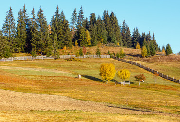 Similar image 18508097