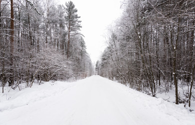 Similar image 18135635