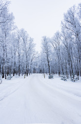 Similar image 18135636