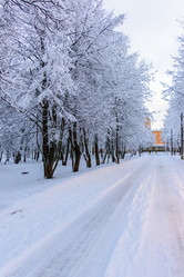 Similar image 18135689