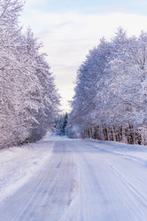 Similar image 18135911